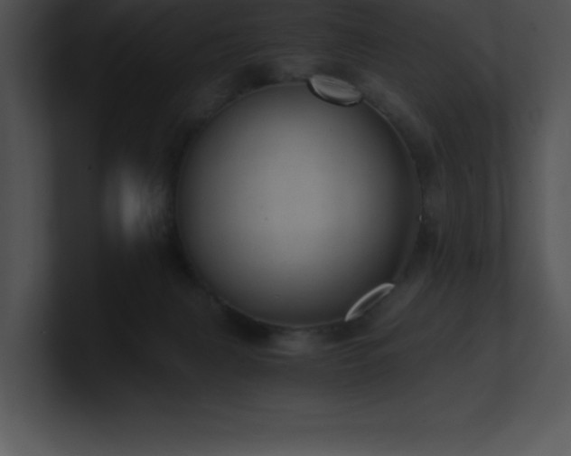 X0000100900079200806241301