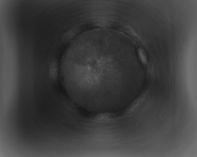 X0000100900080200806241301