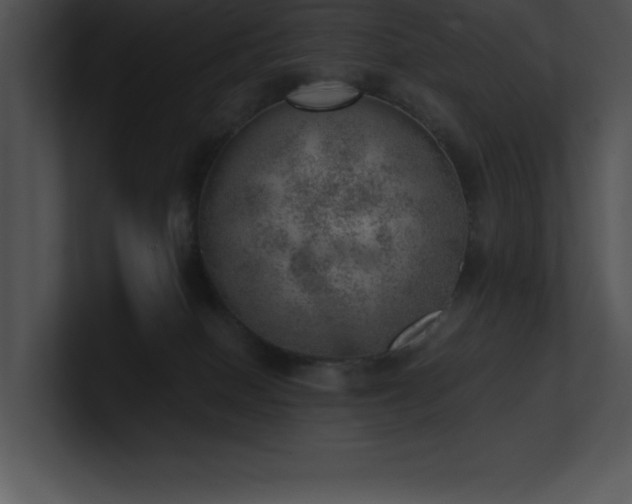 X0000100900086200806241301