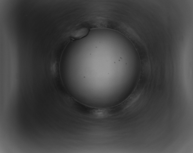 X0000100900088200806241301