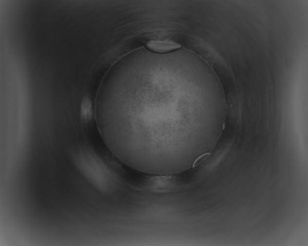 X0000100900089200806241301