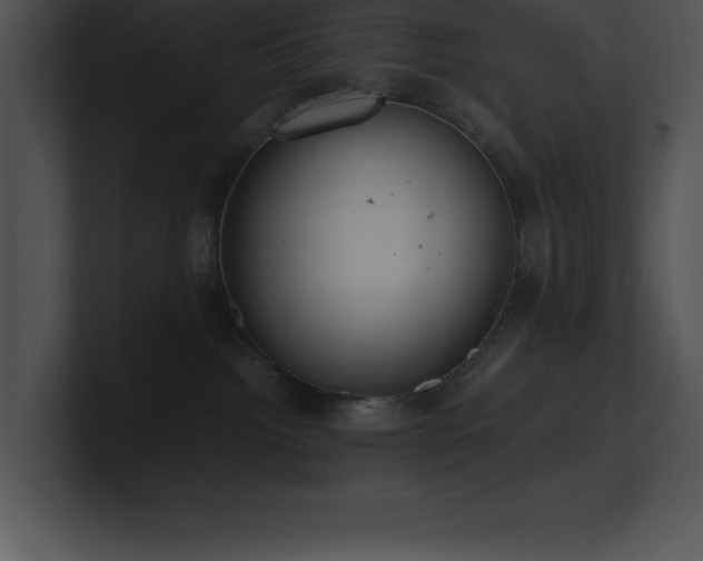 X0000100900092200806241301