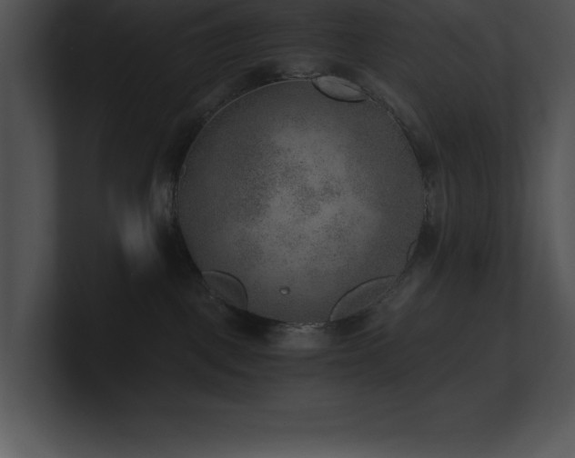 X0000100900093200806241301