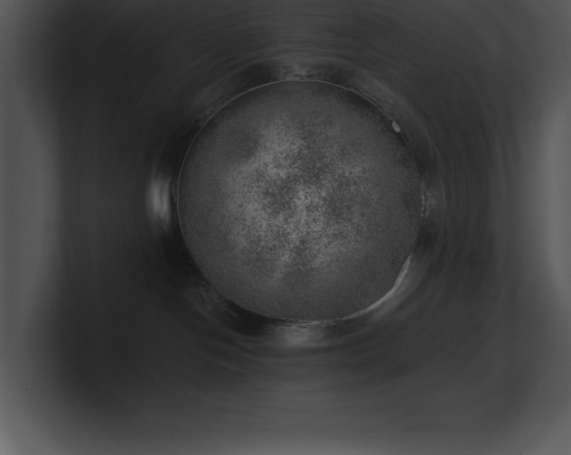 X0000100900094200806241301