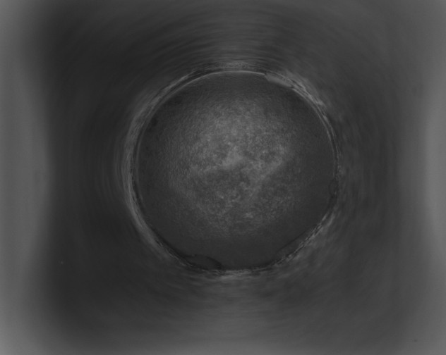 X0000100900097200806241300