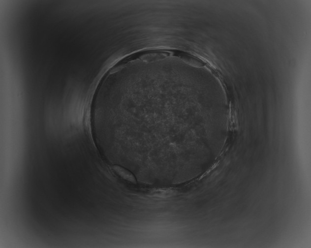 X0000100900099200806241300