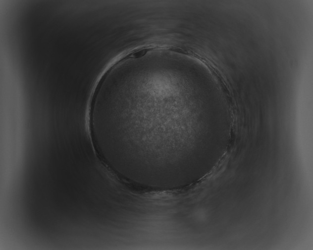 X0000100900100200806241300