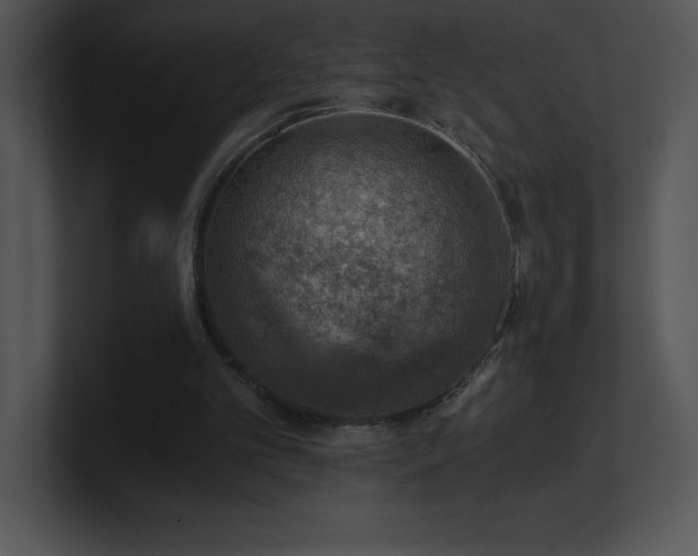 X0000100900101200806241300
