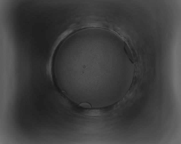 X0000100900104200806241300