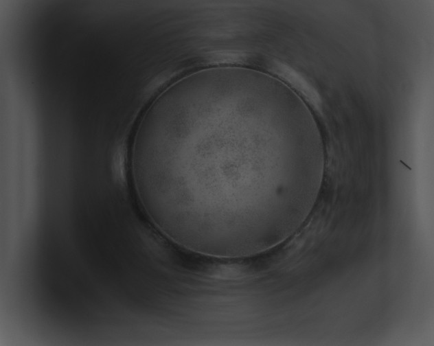 X0000100900107200806241300