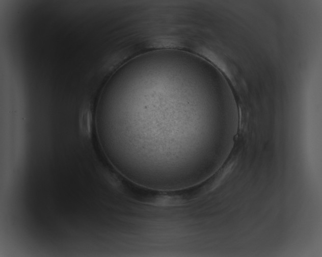 X0000100900109200806241300