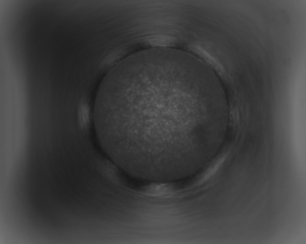 X0000100900117200806241300