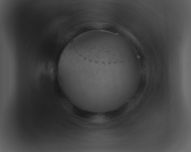X0000100900119200806241300