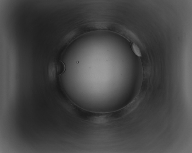 X0000100900120200806241300