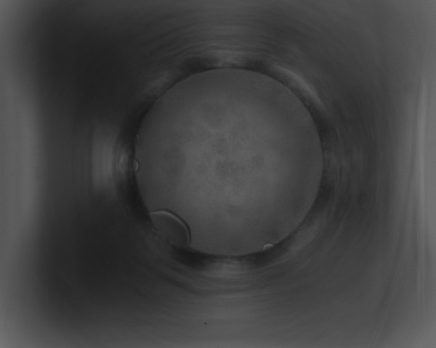 X0000100900123200806241300