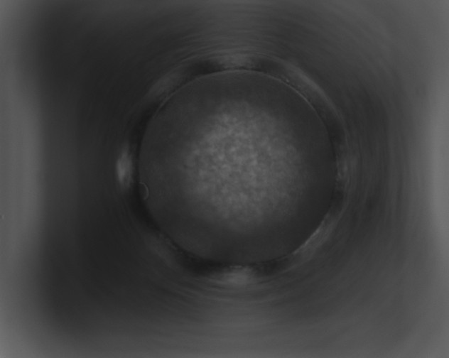 X0000100900124200806241300