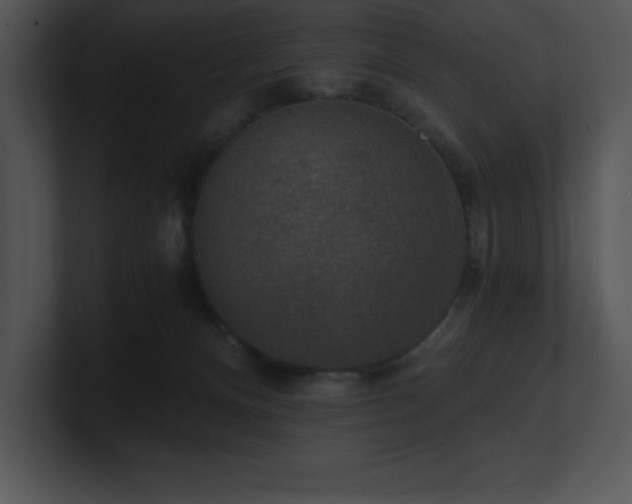 X0000100900128200806241300
