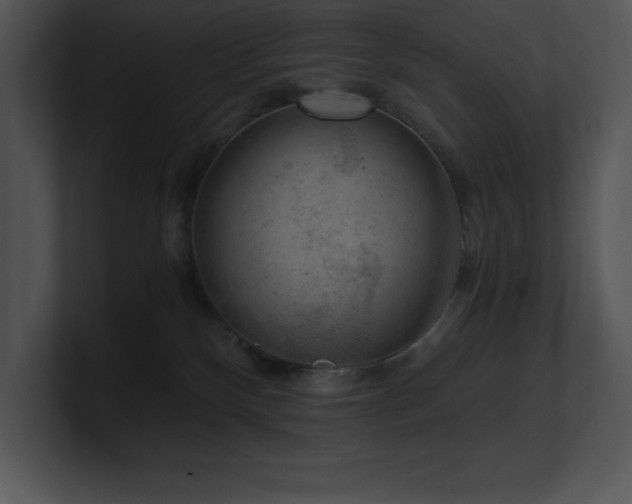 X0000100900136200806241300