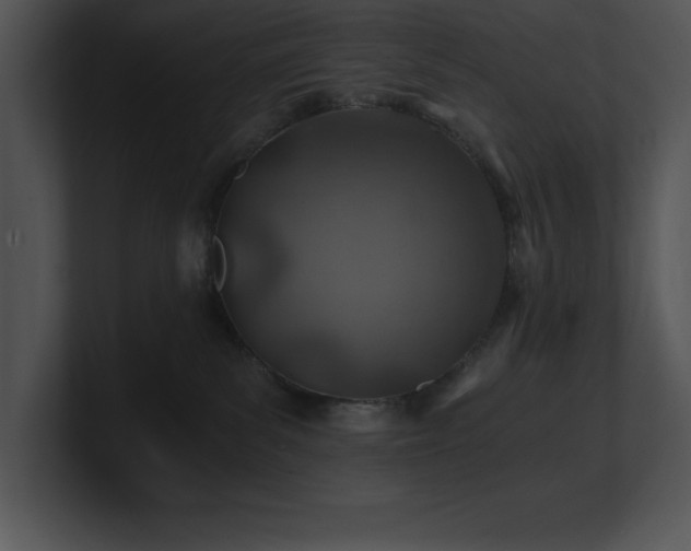 X0000100900139200806241300