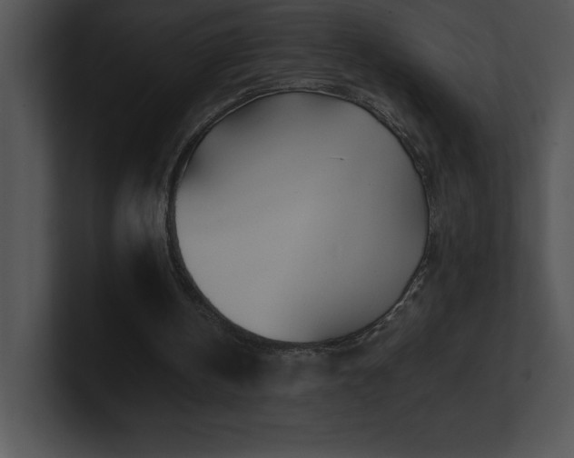 X0000100900146200806241259