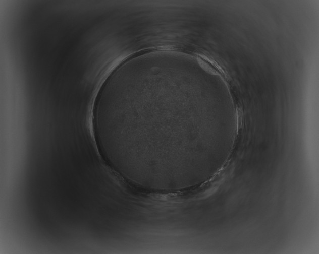 X0000100900147200806241259