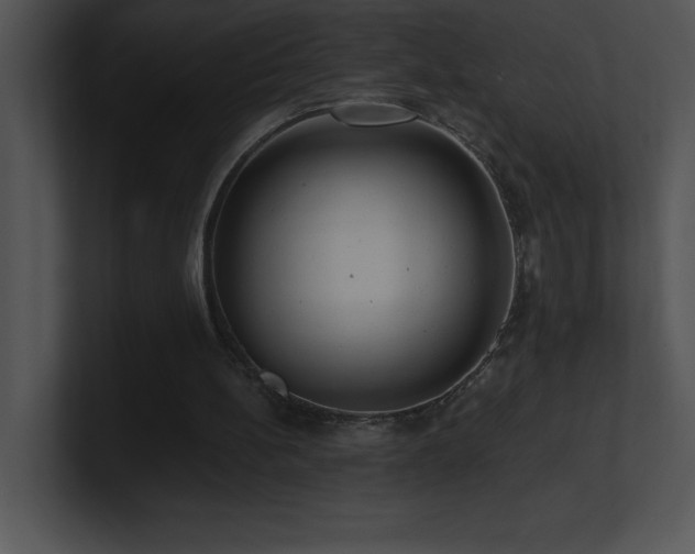 X0000100900148200806241259