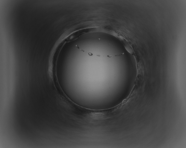 X0000100900150200806241259
