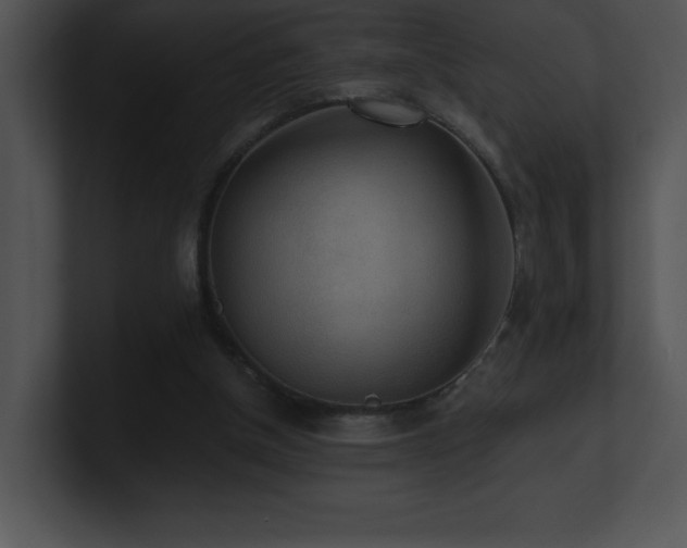 X0000100900154200806241259