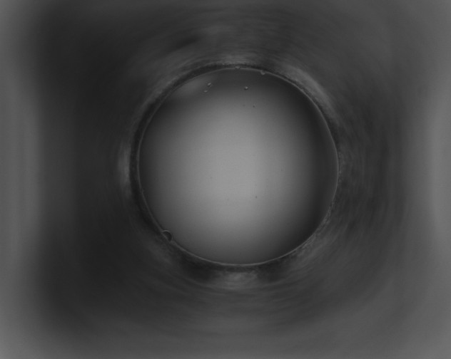 X0000100900155200806241259