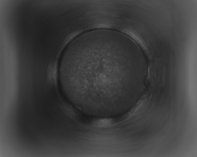 X0000100900156200806241259