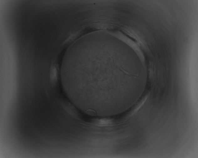 X0000100900165200806241259