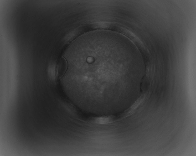 X0000100900168200806241259
