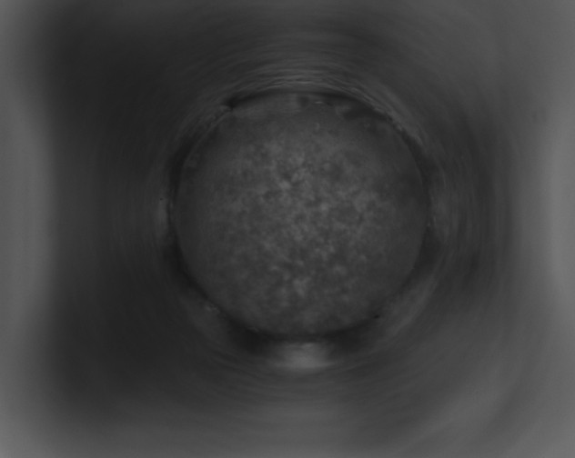 X0000100900169200806241300