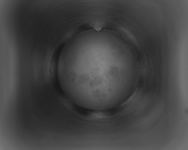 X0000100900171200806241300