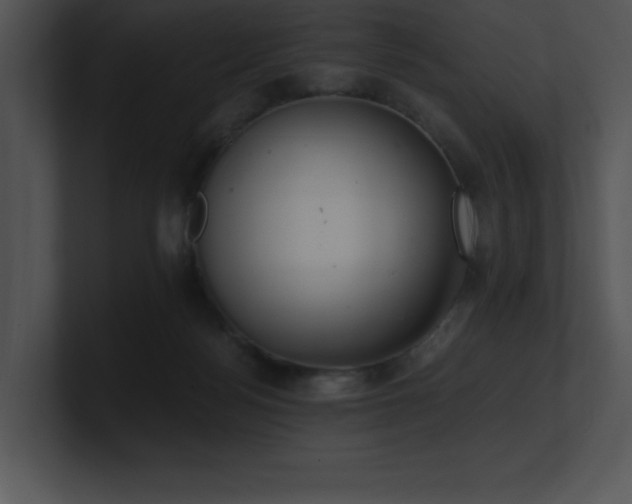 X0000100900172200806241300