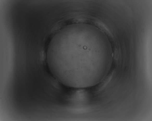 X0000100900173200806241300
