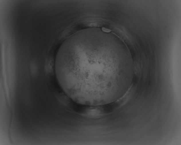 X0000100900175200806241300