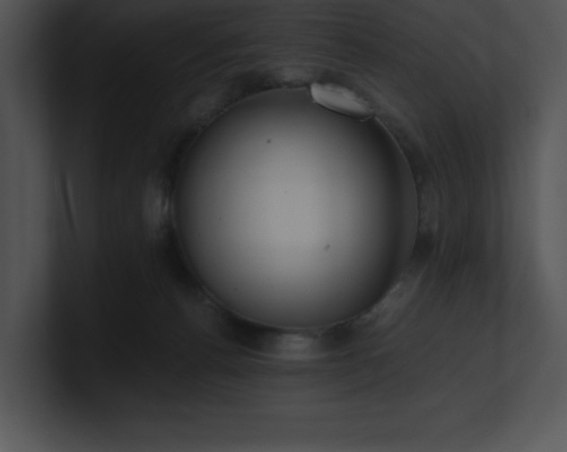 X0000100900176200806241300