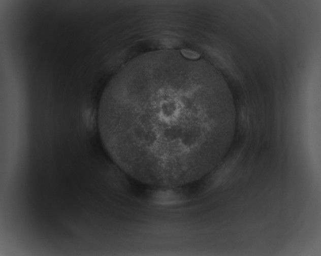 X0000100900177200806241300