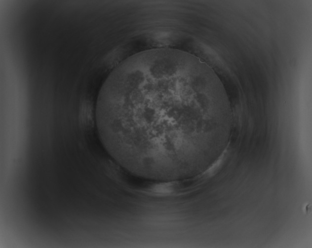 X0000100900178200806241300
