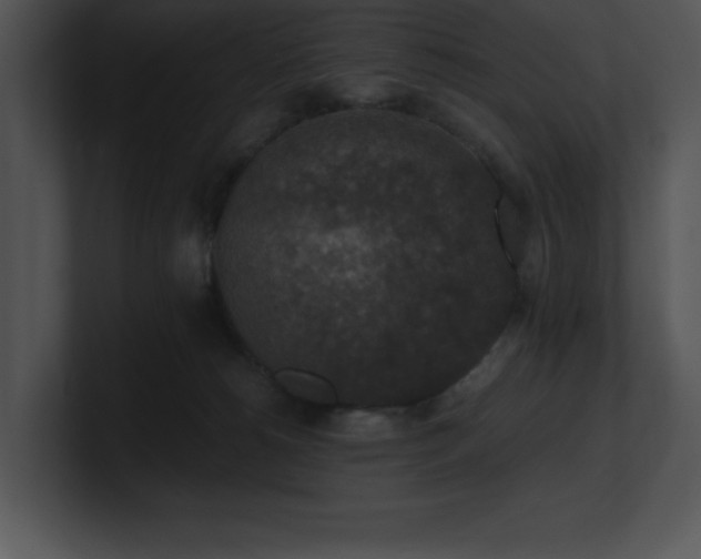 X0000100900180200806241300