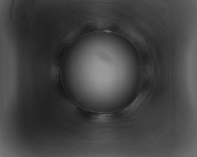 X0000100900184200806241300