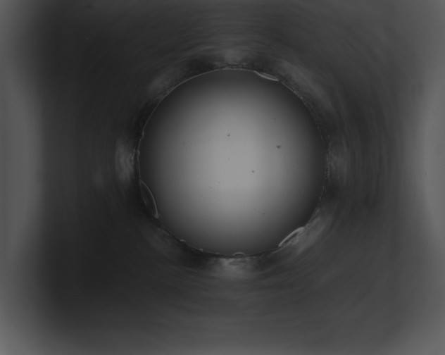 X0000100900188200806241300