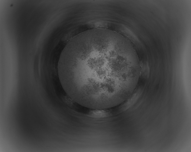 X0000100900189200806241300
