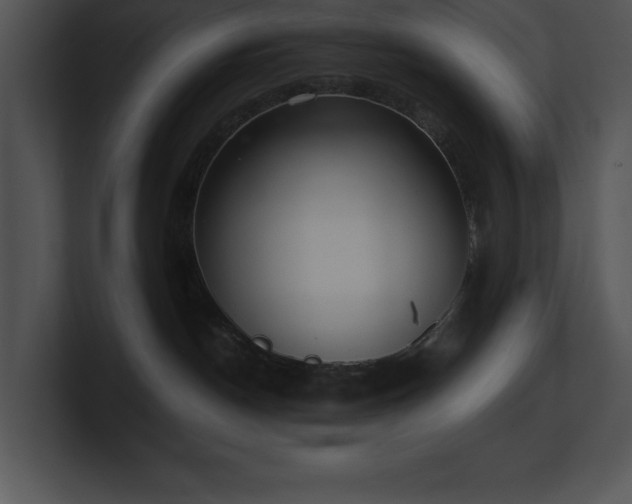 X0000100900190200806241300