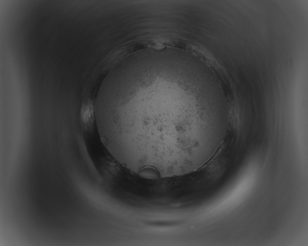 X0000100900191200806241300