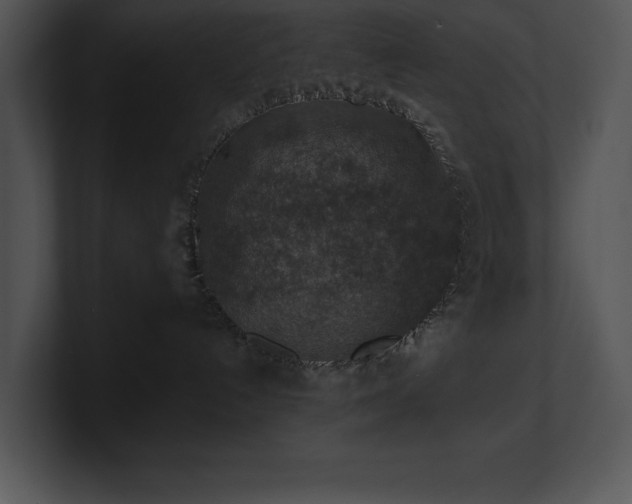 X0000100900192200806241300