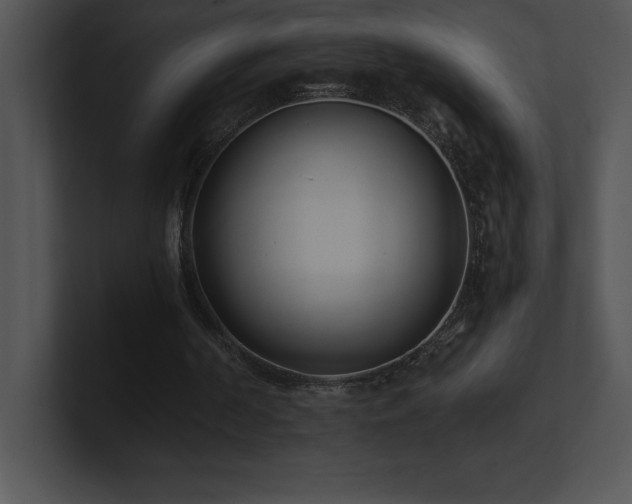 X0000100900194200806241259