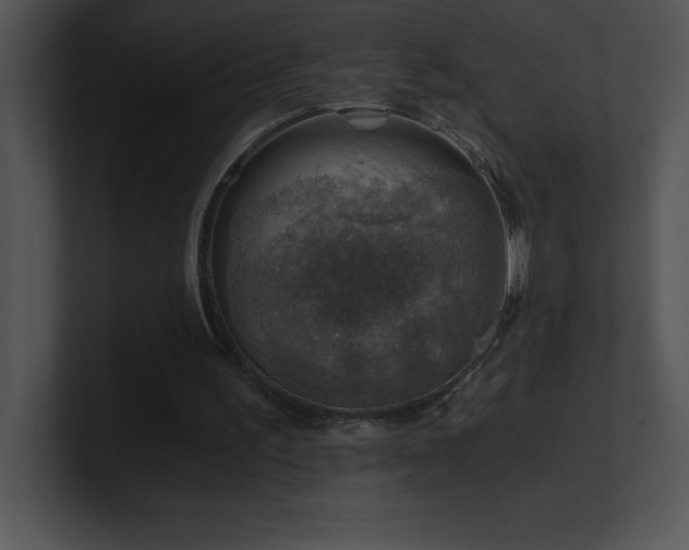 X0000100900195200806241259