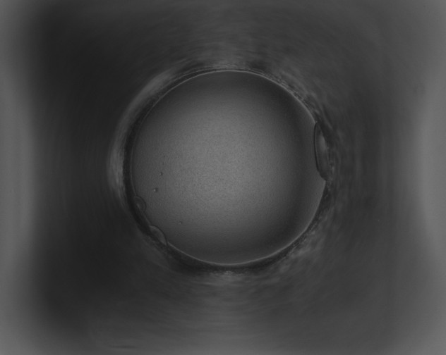 X0000100900197200806241259